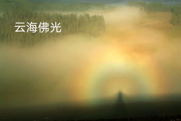 喀纳斯湖：作者丁培恭｜海外头条（图11）