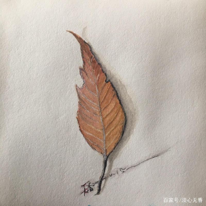 红了的红 —— 写给枫叶 作者/马国涛 主播/燕子