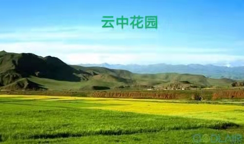 那曲高寒草原：作者丁培恭｜海外头条（图11）