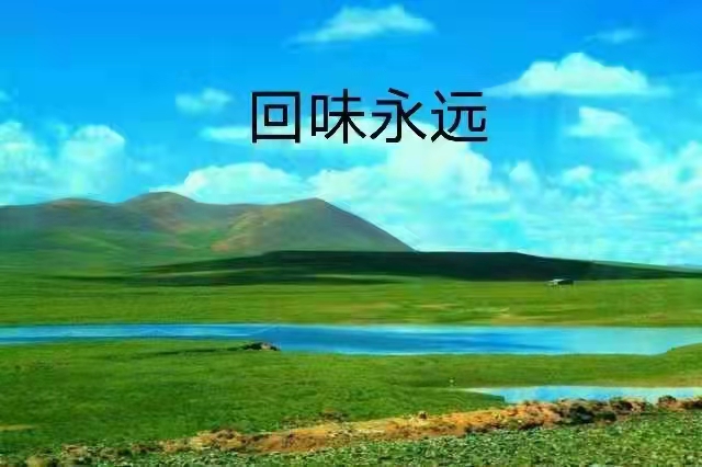 那曲高寒草原：作者丁培恭｜海外头条（图12）