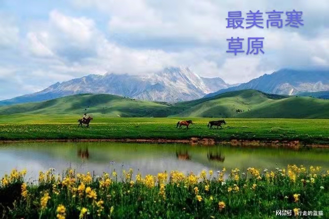 那曲高寒草原：作者丁培恭｜海外头条（图4）