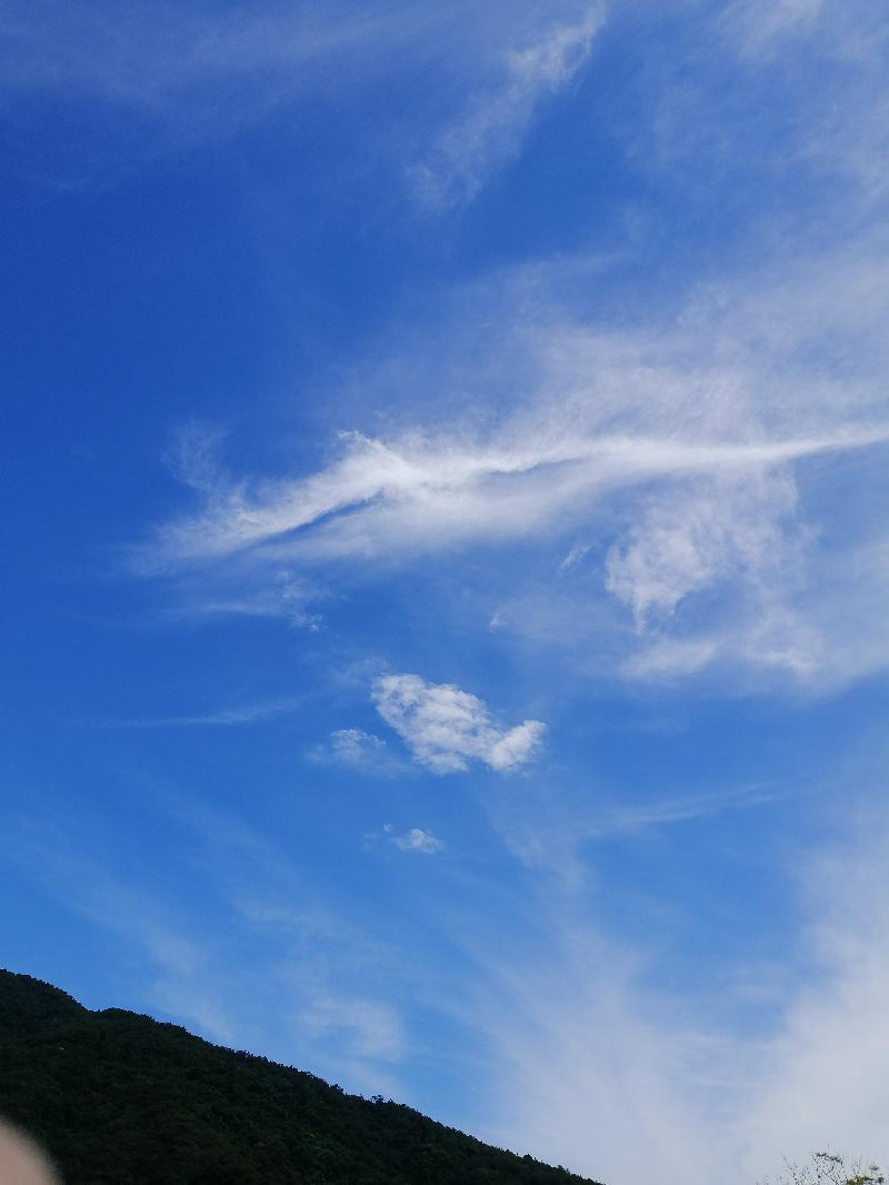 游流溪河从都湿地公园 ／江冲（图15）