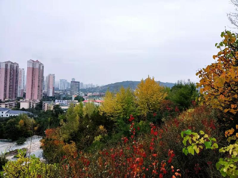 《西宁欢乐庆重阳》高原明珠欢乐聚：文图／颜宝祥（青海西宁）（图17）