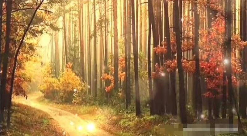 【 汉俳连作 】《 缘难圆 》(原 创)作者/正大光明(哈尔滨)京津沪头条(图3)