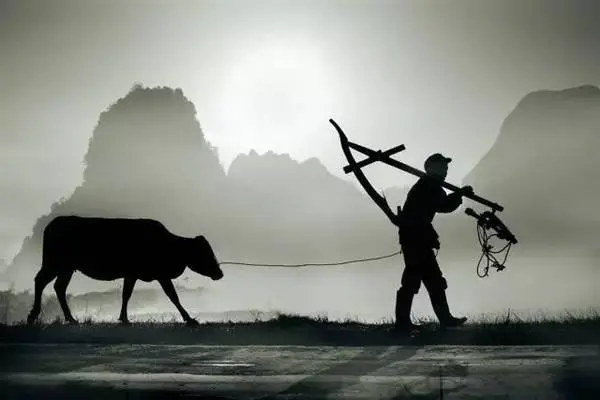 李席林:个旧蔡家拳理论-怪味豆(外三首)请欣赏(图5)