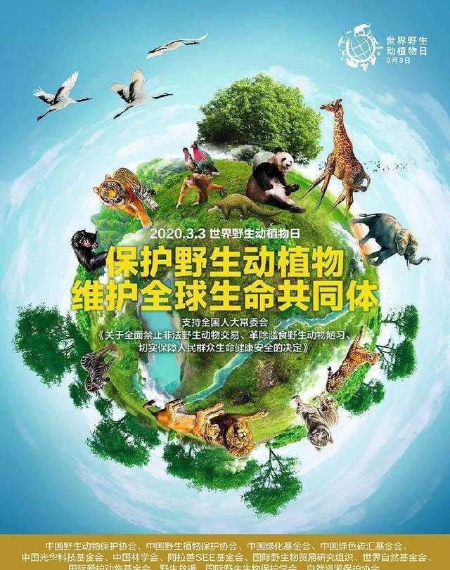 赞生物多样性（散文诗）作者丁培恭｜海外头条（图10）