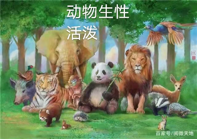 赞生物多样性（散文诗）作者丁培恭｜海外头条（图5）