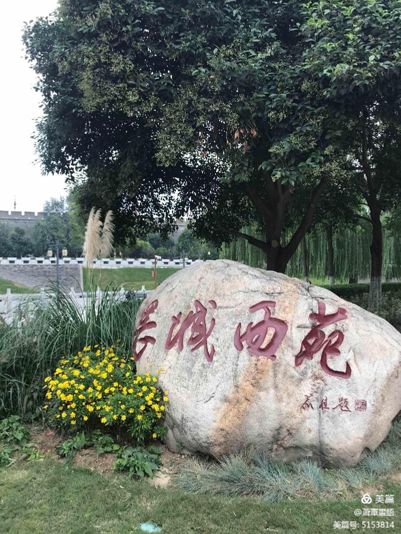 回長安 （组诗）文 萧军（陕西）【冰心文化传媒】（图15）