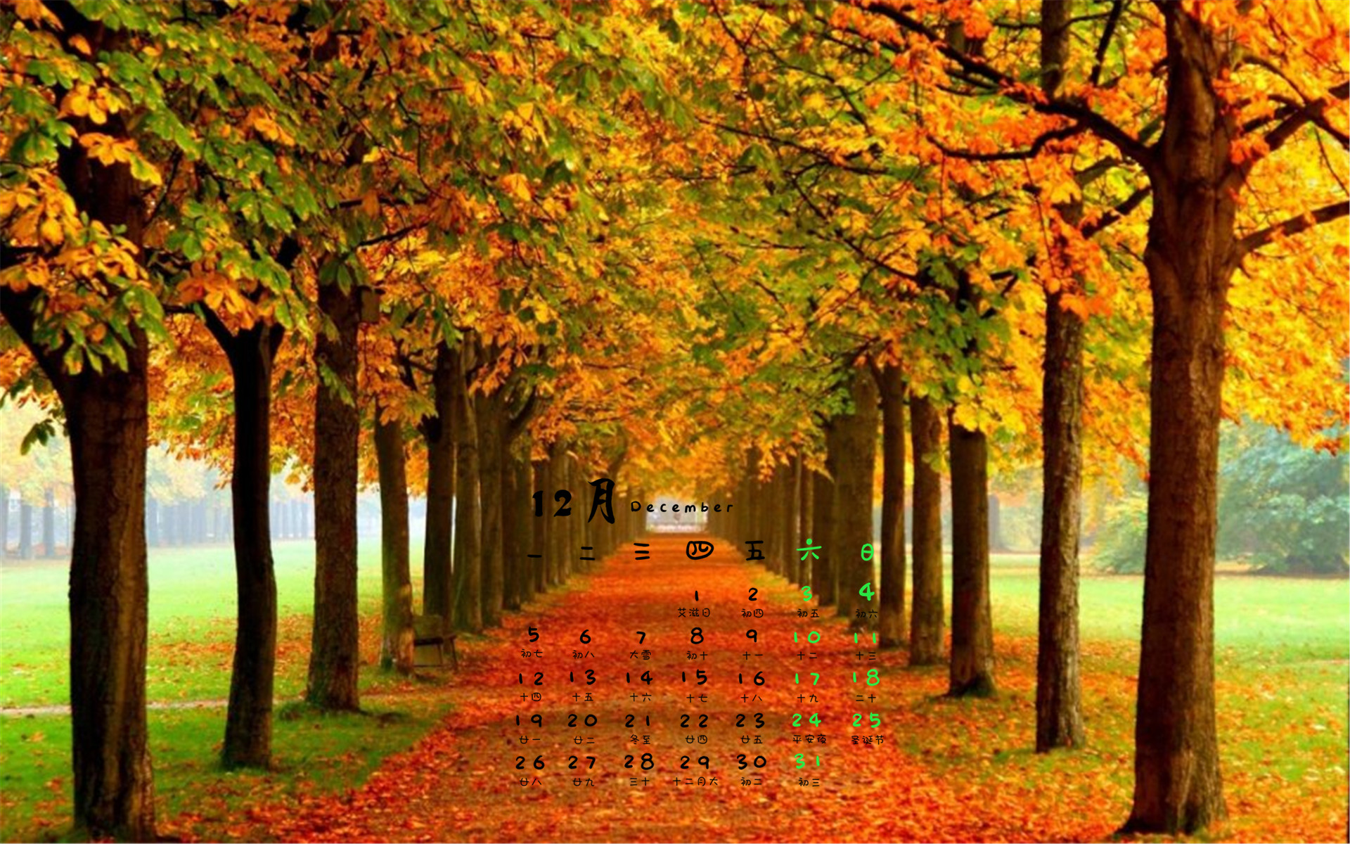 1634376461746046185.jpg src=http_%2F%2Fpic1.win4000.com%2Fwallpaper%2F4%2F5840ea88a5ba6.jpg&refer=http_%2F%2Fpic1.win4000.jpg