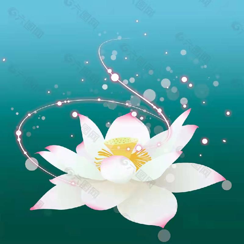 塵緣苗丕赏析左岸云作品：红尘有韵，莲渡诗香：诵读｜任新奇｜海外头条（图3）