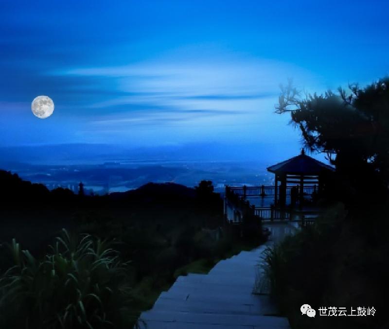 （26)巴黎文学暨五洲诗社 合刊【冰心文化传媒】制作：冰心（图19）