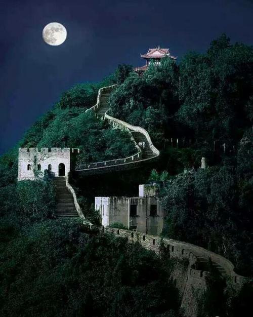 欧震《月光下的中国》诵读/花语 有一天 云水禅心 鹤凡 胡瑛 茶香(图4)