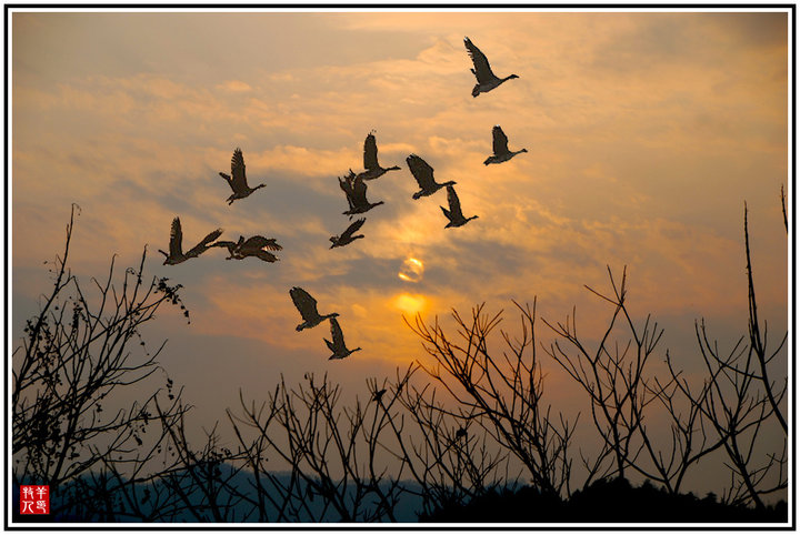 src=http_%2F%2Fimg.pconline.com.cn%2Fimages%2Fupload%2Fupc%2Ftx%2Fphotoblog%2F1203%2F15%2Fc0%2F10912101_10912101_1331770647546_mthumb.jpg&refer=http_%2F%2Fimg.pconline.com.jpg