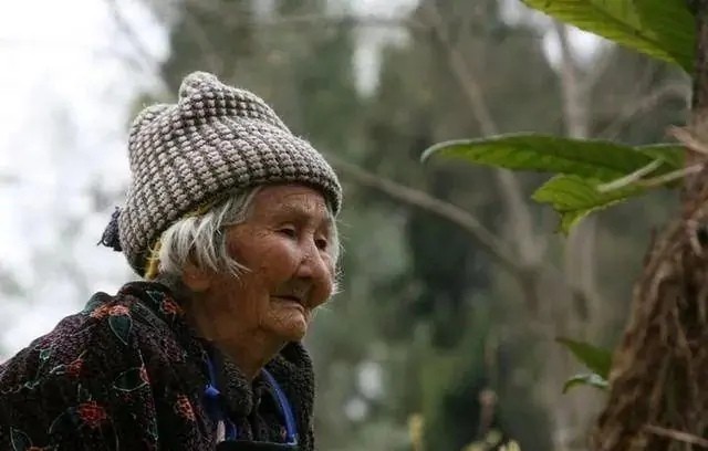 联机全球发布吴春元精品诗歌（图61）