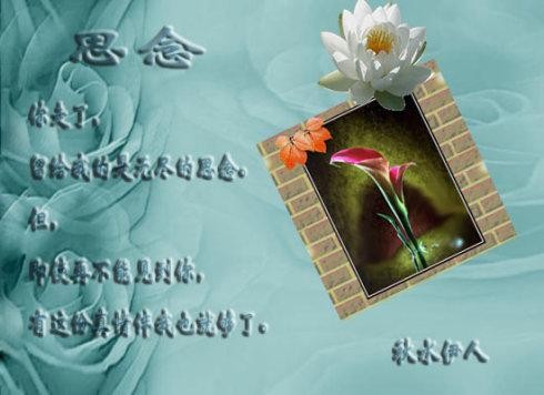 联机全球发布吴春元精品诗歌（图83）