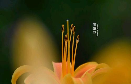 2021年“北疆写作朗诵文艺家联合会”“情系中秋.喜迎国庆”第三篇章【北疆头条】（第084期）（图15）
