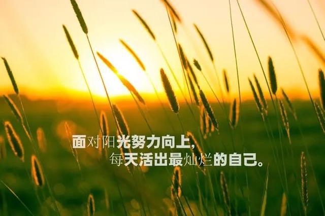 北美翰苑ll 38期＜现代诗文合辑＞海外头条（图19）