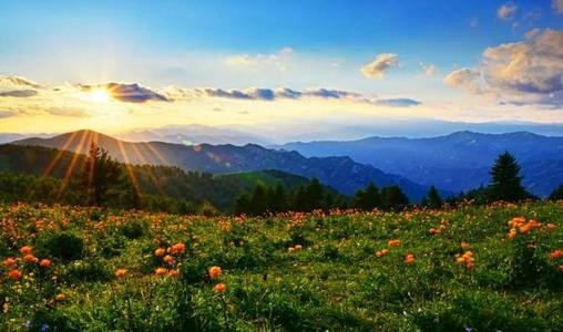 七绝：霜降文/彭宇昭（图2）