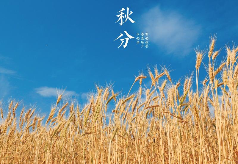 《中国爱情诗刊》 【中国爱情诗人档案】(第3890期)甘肃诗人:无言子的诗(图4)