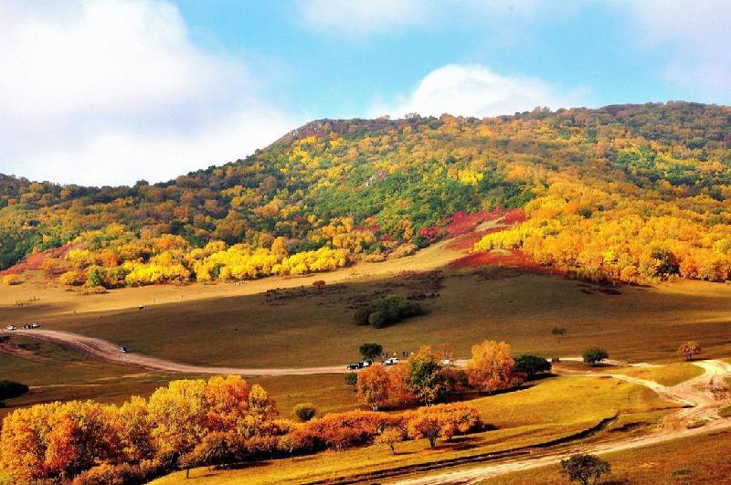 《关中秋景》秋景在门前：文／李建印（陕西西安）（图5）