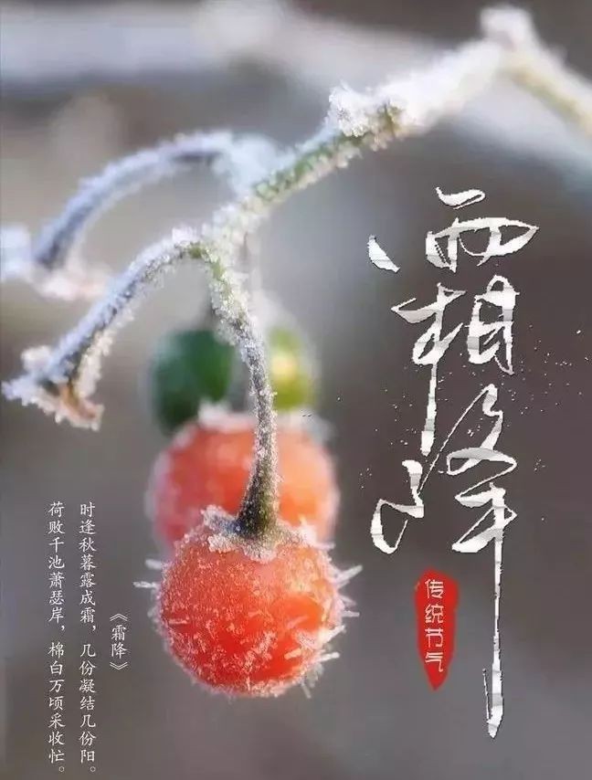 《节气》今日霜降：作者／李晓梅（陕西）（图3）