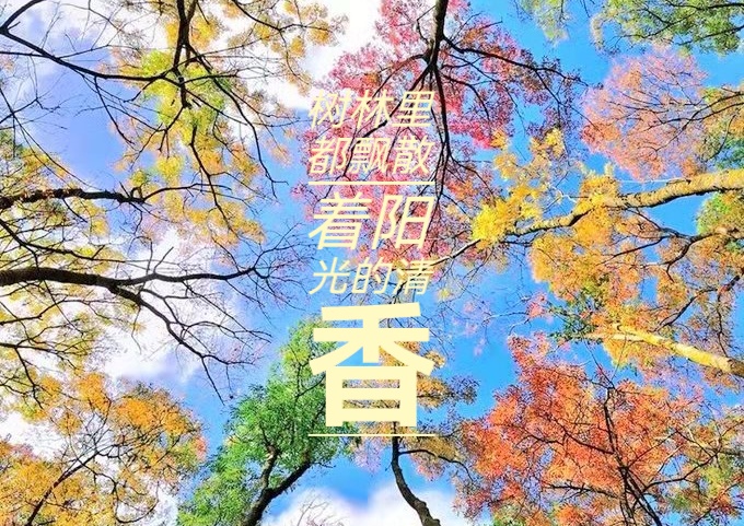 秋歌 ll 作者 郭曰方 ll 诵读 独门太极 红豆(图7)