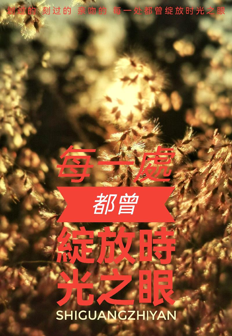婧暄诗歌 ll 時光之吻 ll 诵读 老菩提（图5）