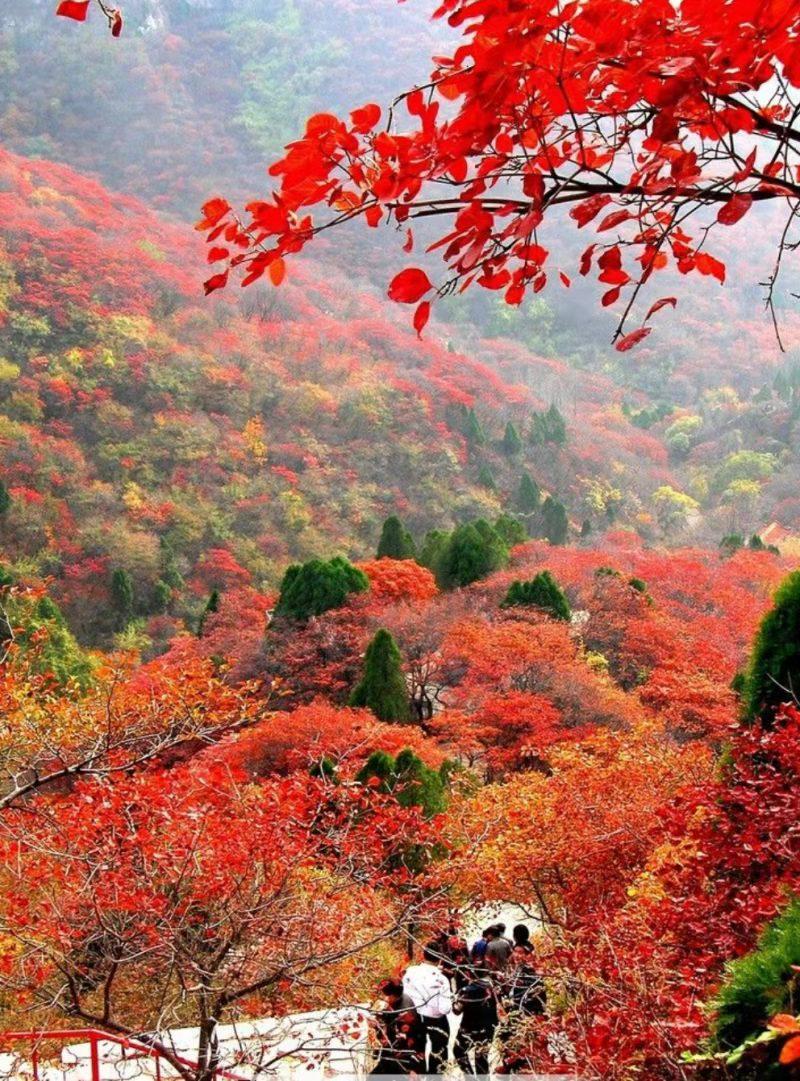 推荐【神州源流诗苑】总第488期 [优秀现代诗]（含其他）周刊（图5）