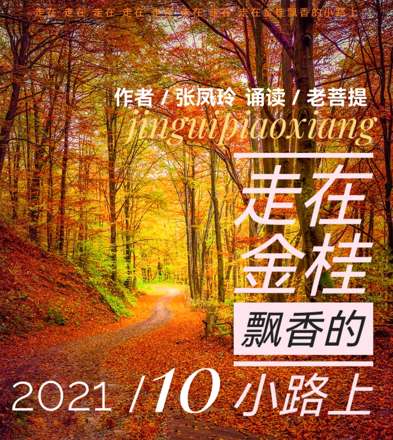 走在金桂飘香的小路上ll文 张凤玲 诵 老菩提(图2)