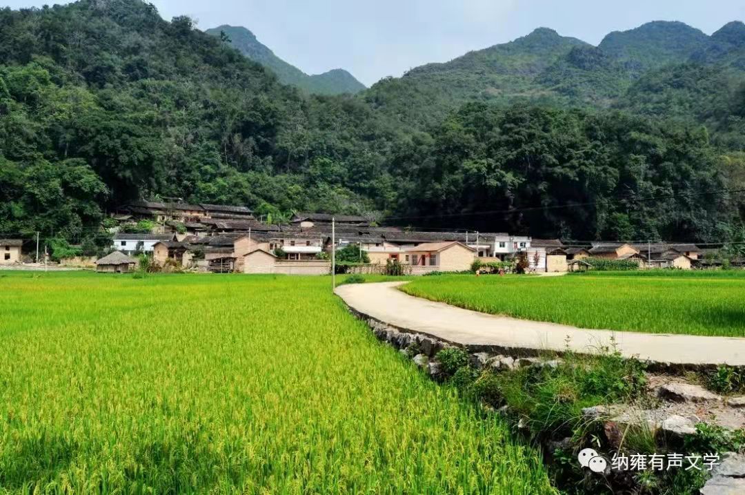 寰俊鍥剧墖_20211025192046.jpg