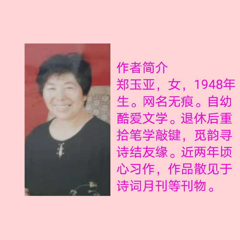 郑玉亚老师佳作欣赏！（图5）