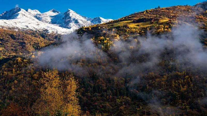 雪山雄鹰诗歌《我的自白》欣赏,金牌主播雯煜诵读,编辑:宋梅【中国长江文学社】有声文学平台第2776期(图9)