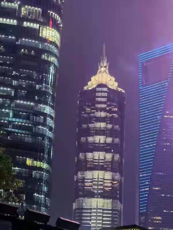 日子福成熊猫时一一来沪周年有感(宋一鸥)(图3)
