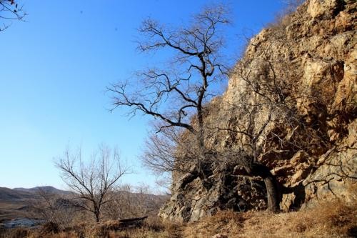 联机全球发布孙世元精品诗歌（图9）