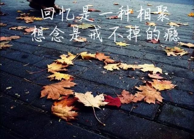 ［情诗鉴赏］你是我情不自禁的牵挂//文/刘金龙（图8）