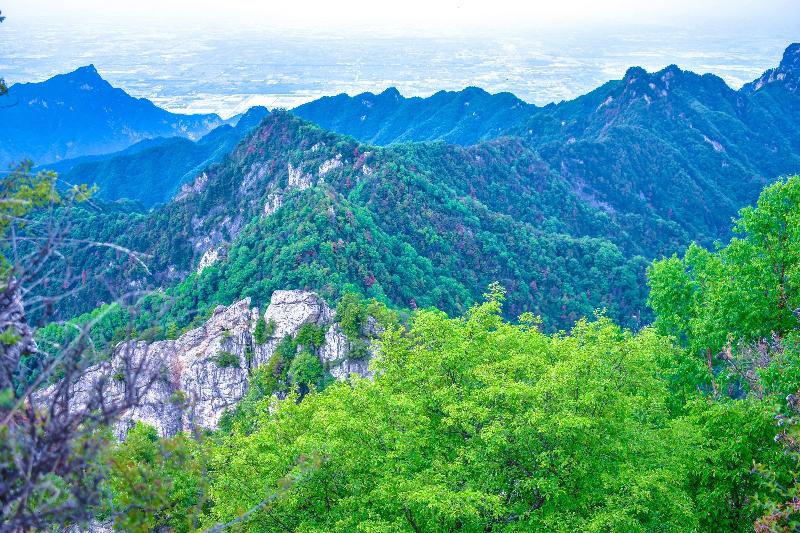 《原创》秦岭四宝最可爱：文／蓝田玉（陕西西安）（图3）