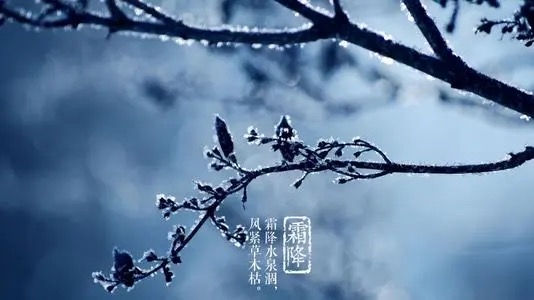 北美翰苑总社ll第01期＜现代诗古体诗合辑＞海外头条（图7）