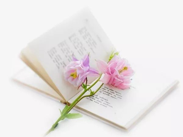仲人诗歌《大美金秋》欣赏,金牌主播伊岚诵读,编辑:宋梅【中国长江文学社】有声文学平台第2797期(图3)