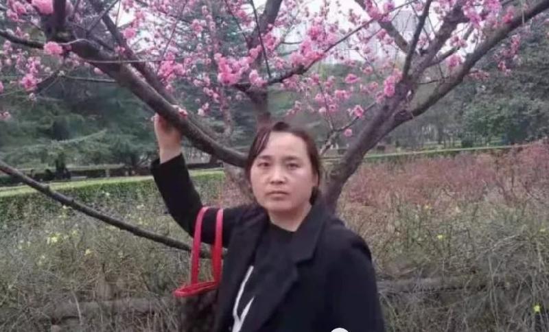联机全球发布晨晓精品诗歌（图6）