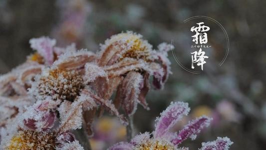 联机全球发布黄昌才精品诗歌！（图27）