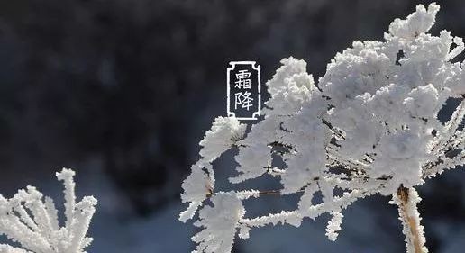 【潇湘文学社】潇湘如兰诗社《霜降》(总205期)(图10)