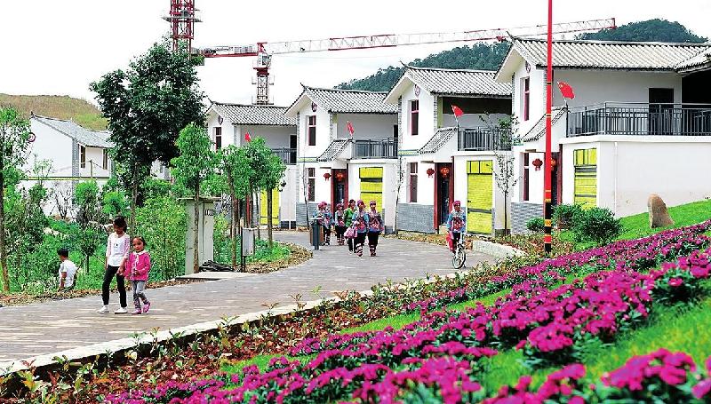 西安鄠邑区一老太编演快板千余首:文/白卫民(陕西鄠邑)(图16)