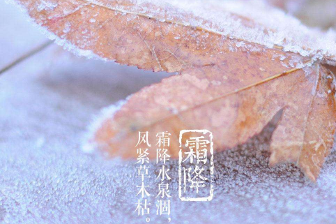 【潇湘文学社】潇湘如兰诗社《霜降》(总205期)(图7)