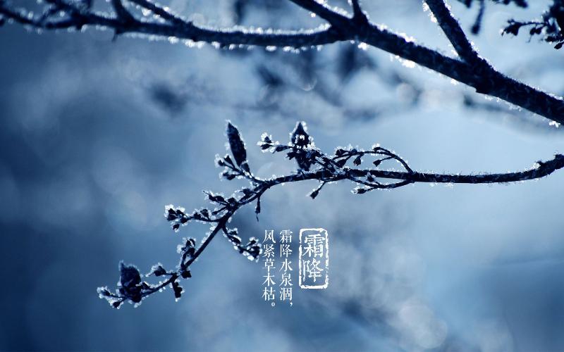 【潇湘文学社】潇湘如兰诗社《霜降》(总205期)(图22)