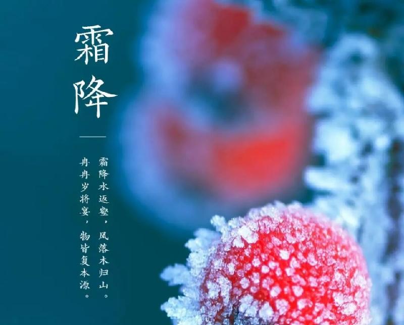 【潇湘文学社】潇湘如兰诗社《霜降》(总205期)(图11)