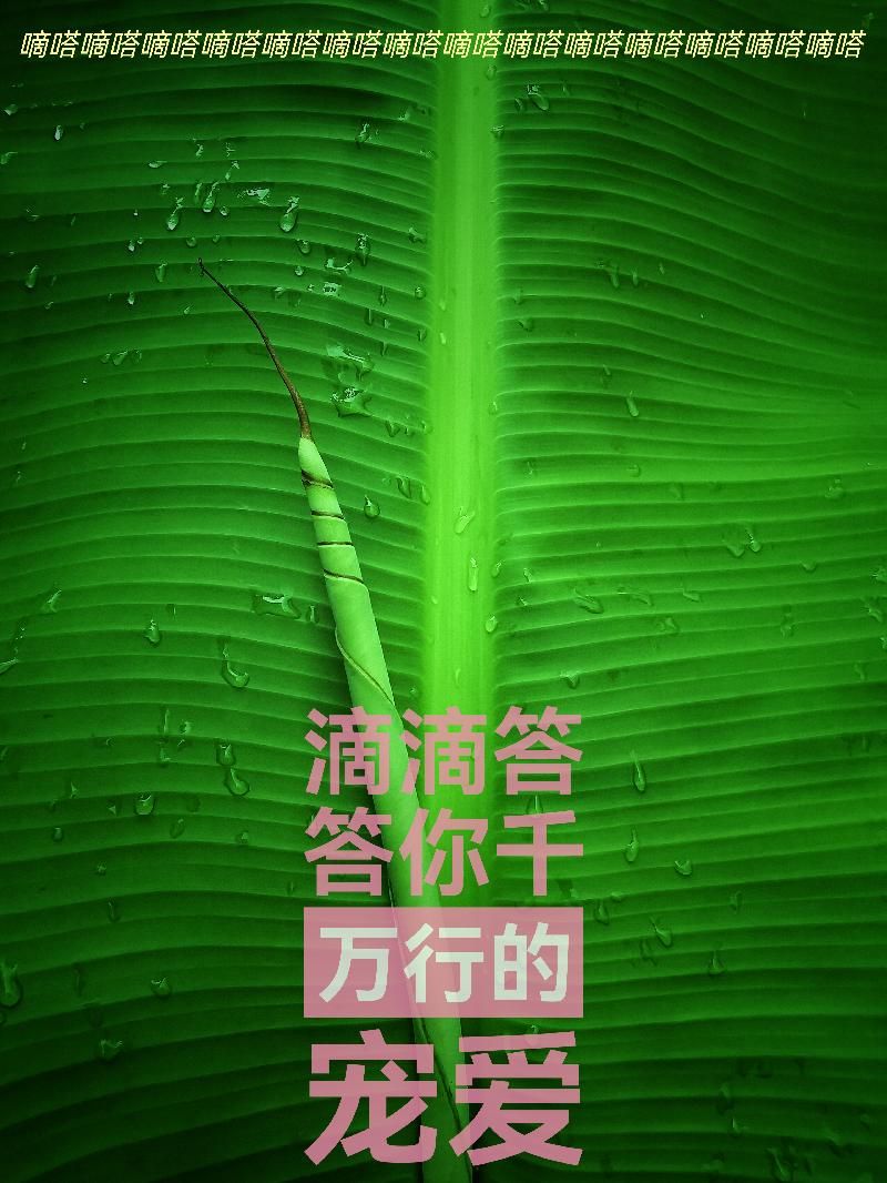 《雨滴》文/鲁妮/诵/老菩提(图5)