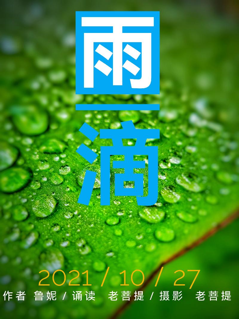 《雨滴》文/鲁妮/诵/老菩提(图2)