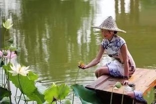 《秋荷遗梦》作者/文雅儒夫 主播/阿伞 编辑/胡琴
