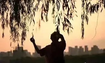 《海潮中的一艘驳船——写给行者关民》作者/岂平 编辑/胡琴(图5)