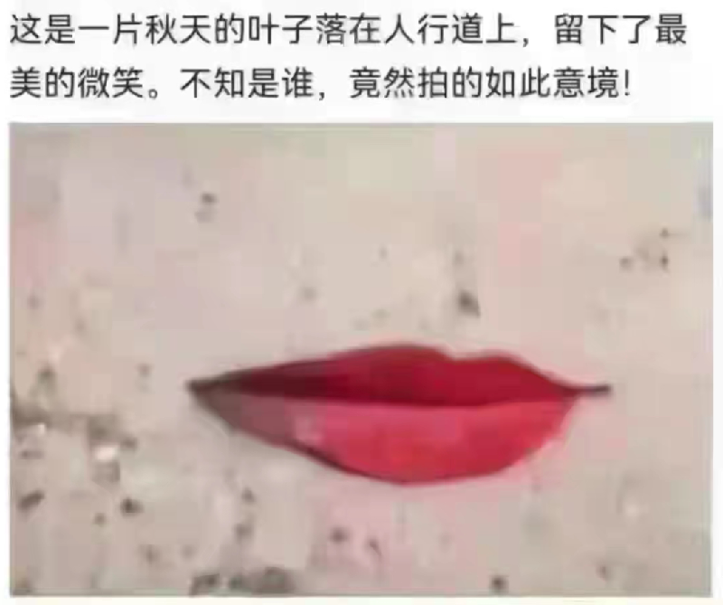 落叶红唇 文/冯永强 京津沪头条（图2）